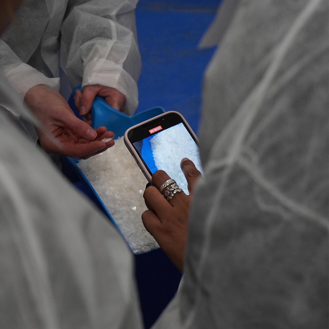 Blackthorn Sea Salt: An Ingredient That Enhances Our Salted Choc