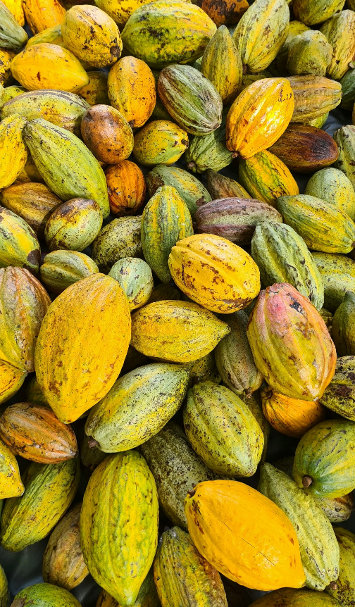 The Art of Drinking Chocolate: Past, Present and Pure Comfort