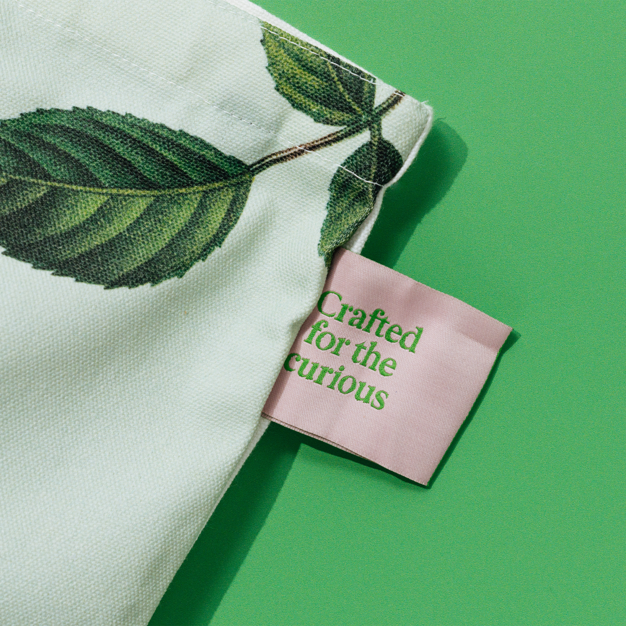 Reusable Canvas Tote Bag